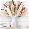 XMLDSBBD Fiori Secchi Decorativi,Erba Della Pampas Decorative 85 Pezzi Set di Erba di Pampa Naturale Fiori Secchi Decorativi per Matrimoni, Feste, Boho Decor