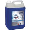 FEI FAN LysoForm Tanica PROFESSIONAL, Disinfettante Battericida, Lieviticida ad Azione, Detergente Deodorante 5L