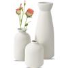 SLAKOZYT Ceramica Vaso Set,Vaso Decorativo da Interno,Minimalista Boho Stile Decor,Vasi Decorativi per Erba Della Pampa, Soggiorno, Scaffale, Tavolo da Pranzo, Libreria, Camino, Ingresso