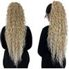 Ser Mulher Brianna Extension Coda Di Cavallo | Facile da applicare | Look naturale 100% | Termofibra resistente | Capelli Lunghi e Ricci,90 cm, 70 cm e 50 cm TERMOFIBRA (T103-60 Biondo Ghiaccio Degradee, 70cm)
