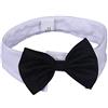 DULEE Cravatta per animali domestici, regolabile, per cani e gatti, accessorio per toelettatura per feste e cuccioli di piccola taglia e gatti, bianco, M: 31-36 cm