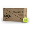 Dunlop Sports Dunlop Palline da tennis Training, 72 palline