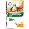 ELANCO ADVANTAGE*4PIP 0,4ML SPOTON