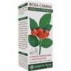 Dr. Giorgini ROSA CANINA ESTRATTO INTEGRALE 200 ML