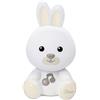 Chicco Gioco Coniglio Dolce Notte
