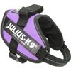 Pettorina Porpora Tg.Mini Mini IDC Power Harness Julius-K9