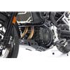 Isotta Paramotore Isotta Alluminio per BMW F 800 GS Dal 2024