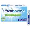 Enterogermina Benessere Intestinale, Fermenti Lattici, 20 Flaconcini/5 ml | Probiotici, Integratori Adulti e Bambini 3+, Favorisce l'Equilibrio della Flora Batterica Intestinale, Senza Glutine
