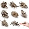 Bbiamsleep 8 statuette realistiche a forma di teschio di animali, in resina, mini dinosauro, mostro alieno, decorazione per progetti fai da te, decorazione natalizia di Halloween