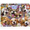 Educa - Puzzle 1000 pezzi Cuccioli in selfie, Howard Robinson | Puzzle animali divertenti | Misura 68x48 cm | Include colla Fix | Per adulti 14+ (19931)
