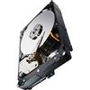 Seagate ST3000NM0033 - CONSTELLATION ES.3 3TB SATA - Interfaccia: S-ATA 6 Gb/s/ Capacità: 3000 GB/ 7200 Giri/min / Cache: 128 MB/ Fattore di forma: 3,5 / intern/ Tipo di imballo: Bulk