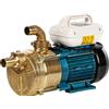 Tellarini Pompe Tellarini EEM 30 - Pompa elettrica da travaso in ottone - Monofase - 230V