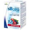 Hubner original silicea plus frutti di bosco 15 bustine da 15 ml
