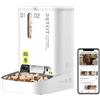 PETKIT Distributore Automatico Cibo per Gatti e Cani 5L con Telecamera HD 1080P, WiFi 2.4G, Fino a 10 Pasti al Giorno, 1-30 Porzioni, Ciotola in Acciaio Inox