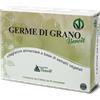 ALCHIMIA BENOIT SRL GERME DI GRANO BENOIT 60CPR