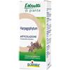 BOIRON SRL HARPAGOPHYTUM EI 60ML INT