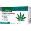 SANTIVERI Sa CANNABIACTIVE FORTE PEA 20CPS