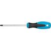 Hazet cacciavite, Profilo Interno Torx, larghezza chiave: T 27, 1 pezzi, lama mattverchromt, punta brunita, 810 T27