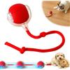 Funmo Giocattolo Interattivo per Gatti con Palla, Giocattolo Silenzioso per Gatti Auto Occupati, Giocattolo Interattivo per Gatti con USB, Palla da Gioco Automatica 360° per Gatti e Cani (Rosso)