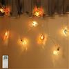 Auting Catena LED Interni 2,2m 12 LED Bianco Caldo Timer