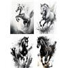 SHEGZHUC Diamond Painting Cavallo Bianco 50x40 cm Diamond Painting Cavalli Puzzle Perline Cavalli Diamond Painting Tramonto sul Mare Diamond Painting Paesaggi Spiaggia 5D Diamond Painting Animali