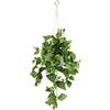 Flair Flower Philo - Fioriera Artificiale sospesa con Vaso, pianta Artificiale, Ghirlanda, pianta Verde, pianta da Interno, pianta rampicante, edera, fioriera in Vaso