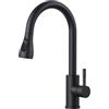 FORIOUS Rubinetto Lavello Cucina Nero, Miscelatore Cucina con Doccetta Estraibile, Acciaio Inox Ad Alta Pressione Orientabile a 360° Monocomando