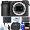 Sony Alpha a6600 Mirrorless Fotocamera Digitale (solo Corpo) - 7PC Set Accessori