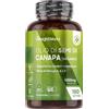 WeightWorld Olio di Canapa 1000mg per Softgel, 180 Softgel Vegane (Scorta 6 Mesi), 1 al Giorno, Spremuto a Freddo, Fornisce Omega 3 6 9, ALA, Acido Linoleico, Acido Oleico, Olio Semi di Canapa Sativa (Hemp Seed)