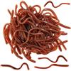 Fonyiunce Artificiale Earthworm, Biomimetic Morbido Silicone Earthworm Esche Worm Esche da Pesca Simulazione Red Worms plastica Verde Ambiente Strong Tentazione Esca Finta Red Worm