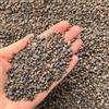 bhomescent Leca - Grana per orticoltura, ciottoli di argilla, pietra lavica, grado fine 2-4 mm, 1 l (3 l)