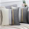 Serento Fodera Per Cuscino Federa in Velluto Grigio con Filo Dorato in Pelle Decorazione Moderna per Divano 40 x 40 cm Quadrato Copricuscino da Soggiorno Sedia Divano Sgabello Set 2 Pezzi