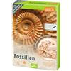 moses. Expedition Nature - Set di scavi fossili, blocco di gesso con 5 fossili autentici, kit di scavo con strumento di scavo, lente d'ingrandimento e borsa portaoggetti