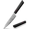Plys Coltello Damascato: Coltello Affilato da Frutta, Piccolo, Coltello da Cucina Giapponese Damascato - Coltello da Cucina Professionale Con Manico in G10