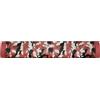 TECHMADE SOUNDBAR | ALTOPARLANTE | CASSA PORTATILE SENZA FILI TM-A15-CAMR COLORE