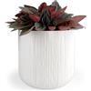 Vimin Box Elegante Vaso per orchidee in Terracotta | BIANCO OPACO RIGATO | Diametro 14 cm, Altezza 13 cm | Vaso Decorativo per Piante Grasse, Fiori, Bonsai | Elegante Coprivaso da Interno Moderno.
