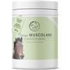 Annimally Polvere per lo sviluppo muscolare per cavalli da 700g con proteine della soia, lisina, carnitina, treonina, metionina - Integratore aminoacidico per il rafforzamento della muscolatura nei cavalli