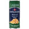 San Pellegrino ARANCIATA Amara "Naturali" SAN PELLEGRINO 33 cl. - Pacchi da 24 lattine