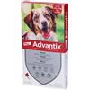 ELANCO ITALIA SpA ADVANTIX Spot-On per Cane taglia media 10 25 Kg 4 Pipette da 2,5 ml