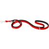Ferplast Daytona GA Guinzaglio per Cani da Addestramento Extraresistente - 3 Lunghezze Regolabile - Morbida Impugnatura Imbottita - Antiabrasione - Design Italiano - 200 x 1,5 cm, Rosso