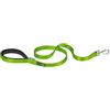 Ferplast Daytona G Guinzaglio per Cani Extraresistente - Morbida Impugnatura Imbottita - Pratico Porta Sacchetti Igienici - Antiabrasione - Design Italiano - 120 x 1,5 cm, Verde