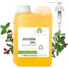 B.O.T cosmetic & wellness Olio Contorno Occhi, Viso e Capelli, Jojoba Bio - Benefici Incomparabili, Idratante, Struccante Waterproof, Rinforza i Capelli, Soluzione Anti-Acne, Regola Sebo, Pelli Grasse, Balsamo Labbra 1000 ml