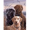 Pracht Creatives Hobby Set di Pittura con Diamanti, Quadro con Motivo di Cani e Accessori, Dimensioni Circa 35 x 25 cm, Set per dipingere con Pietre Scintillanti per Bambini dai 5 Anni in su