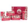 Alpi Nature Tisana Foglie di Lampone, 120 Bustine, 120g, Confezione da 6 x 20 Bustine da 1g