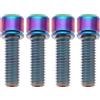 EMSea 4 Pezzi Viti In Titanio Per Bicicletta M6X20mm Per MTB Strada Bicicletta E Mountain Bike Pinza Disco 26,3x8,7mm Vite Freno A Disco