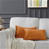 GIGIZAZA Cannella Lusso Cuscino Copre Caso, Di Velluto Cuscino Decorativi Square Sham Cuscino Copre Per Divano Divano Letto Arredamento 30x50cm Set di due