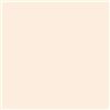 Shiseido Synchro Skin Invisible Silk Loose Powder - POWDER RADIANT