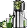 CelerySpec Estrattore di Succo a Freddo, Estrattore di Frutta e Verdura con Calibro 130mm, 1,8L, 250W, BPA-Free, Estrattore Verticale con Funzione Inversa, Facile Pulizia, Acciaio Inox