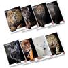Pigna, Maxi Quaderno Animal, f.to A4 21x29,7 cm., pagine 80 + risguardo, carta 80 g/m², interno 1F, Quadretto 1 cm con Margine, Copertine Assortite, 10 pezzi