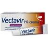 Vectavir Crema 1% 2 Grammi